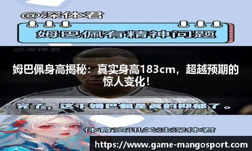 芒果体育官网入口