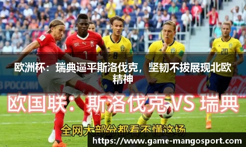 欧洲杯:瑞典逼平斯洛伐克,坚韧不拔展现北欧精神