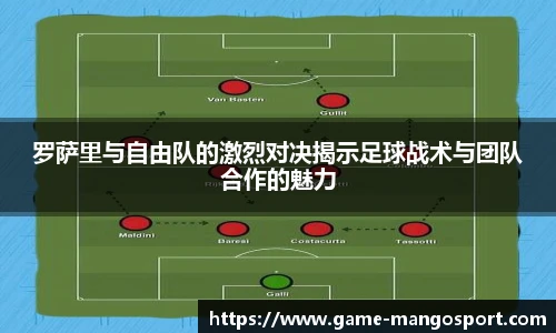 芒果体育官网入口