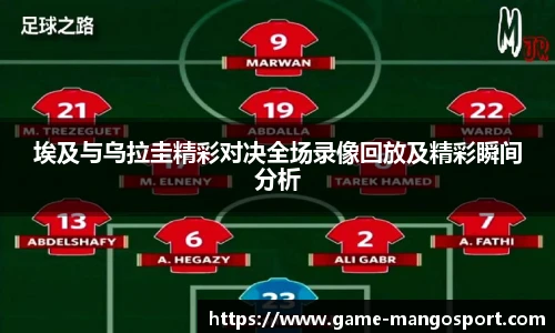 芒果体育官网入口